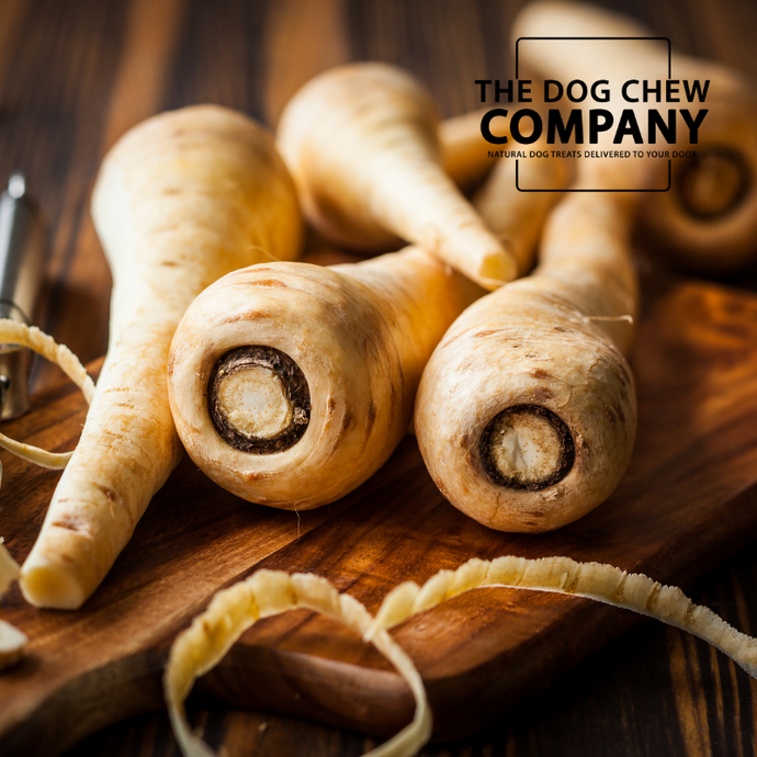 CAN DOGS EAT PARSNIPS?