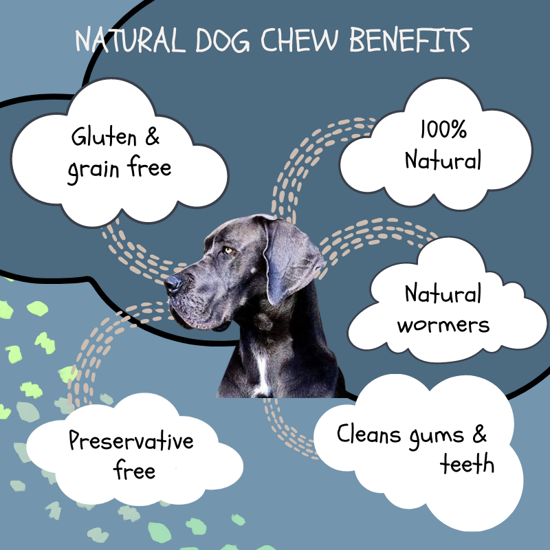Infographic showing the benefits of natural dog chews and treats. All the natural dog treats are gluten and grain free, 100% natural, act as natural wormers if they have fur, are preservetive free and clean the gums and teeth during chewing  for the dog.