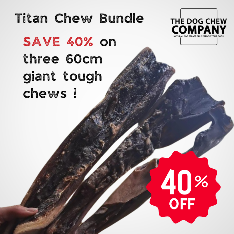 Titan Chew Bundle