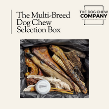 Load image into Gallery viewer, The Multi-Breed Dog Chew Selection Box - The Dog Chew Company
