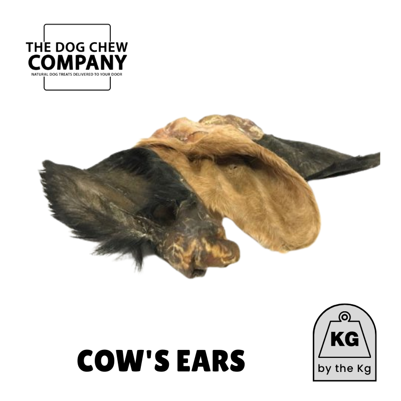 Cows ears