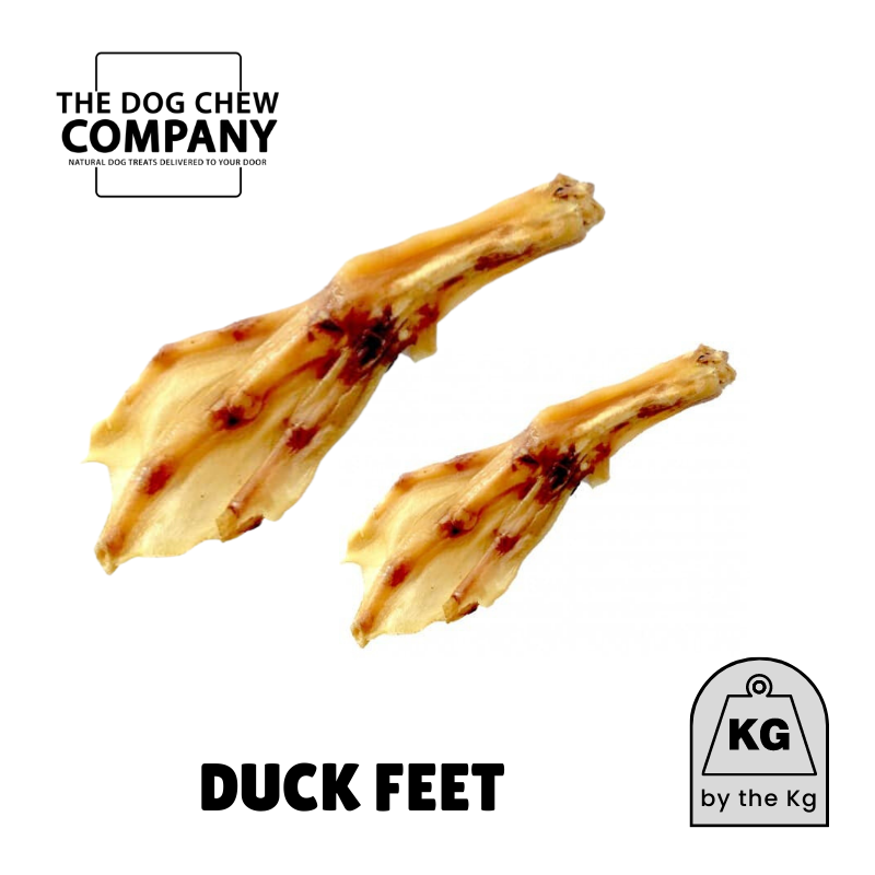 Duck feet