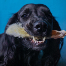 Load image into Gallery viewer, Spaniel Dog Chew Selection Box
