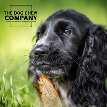 Load image into Gallery viewer, Spaniel Dog Chew Selection Box
