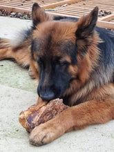 Load image into Gallery viewer, The German Shepherd Dog Chew Selection Box - Selection - The Dog Chew Company
