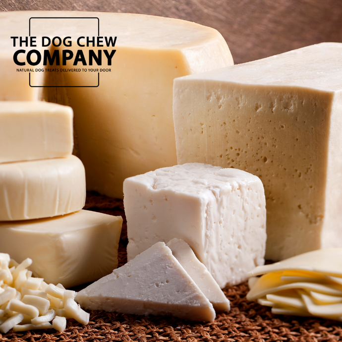 CAN DOGS EAT CHEESE?