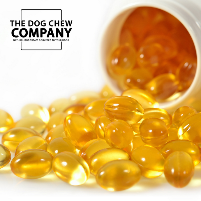 What is a good fish oil for dogs?
