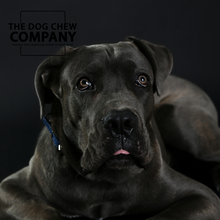 Load image into Gallery viewer, The Cane Corso Dog Chew Selection Box
