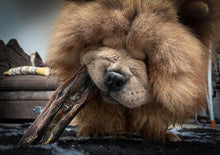 Load image into Gallery viewer, The Chow Chow Dog Chew Selection Box -  - The Dog Chew Company
