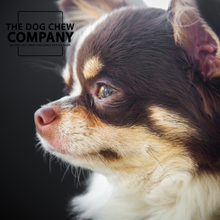 Load image into Gallery viewer, The Chihuahua Chew &amp; Treat Box
