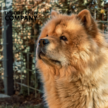 Load image into Gallery viewer, The Chow Chow Dog Chew Selection Box
