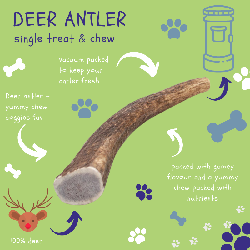 Deer Antler - Dog Treats - The Dog Chew Company