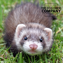 Load image into Gallery viewer, Ferret Chew Box
