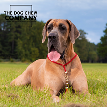 Load image into Gallery viewer, The Great Dane Dog Chew Selection Box
