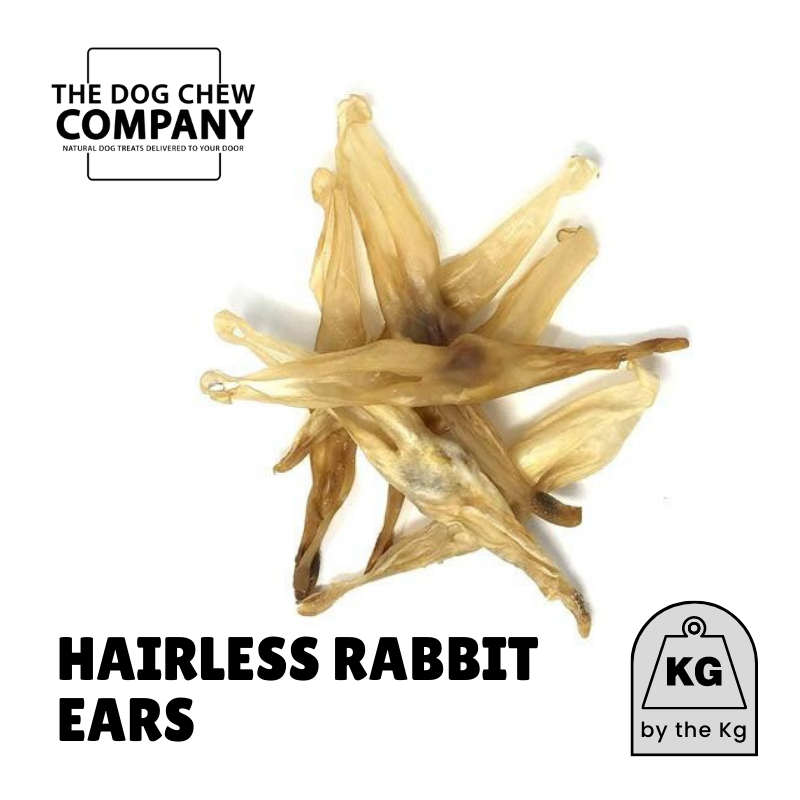 Hairless rabbit ears