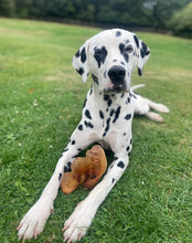 Load image into Gallery viewer, Dalmatian Chew Selection
