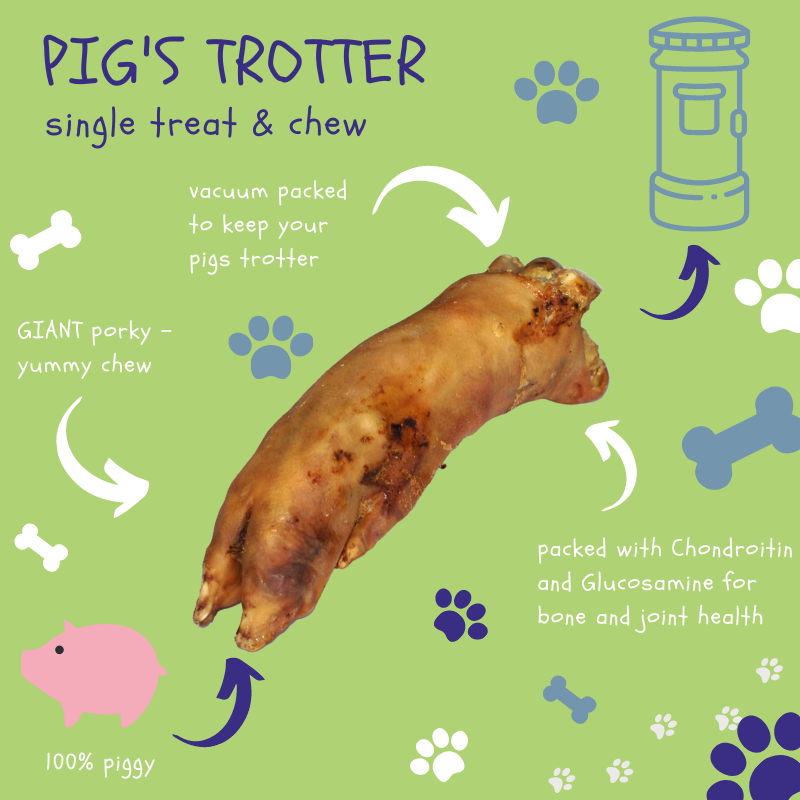 Pig's trotter - Dog Treats - The Dog Chew Company