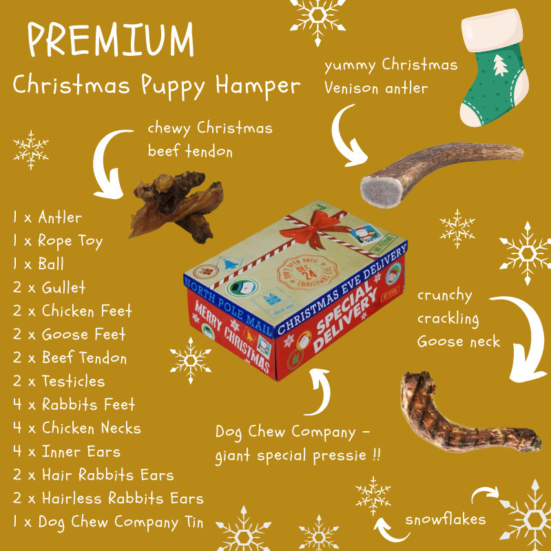 The Christmas Premium Puppy Hamper -  - The Dog Chew Company