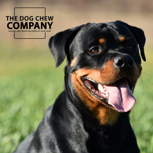 Load image into Gallery viewer, The Rottweiler Dog Chew Selection Box
