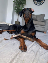 Load image into Gallery viewer, The Doberman Dog Chew Selection Box - Selection - The Dog Chew Company
