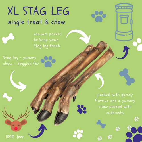 XL Stag leg - Dog Treats - The Dog Chew Company
