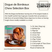 Load image into Gallery viewer, Dogue de Bordeaux Chew Box
