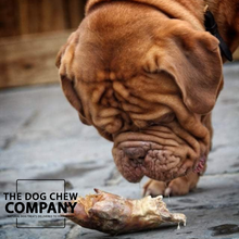 Load image into Gallery viewer, Photo of Dogue de Bordeaux with pig&#39;s trotter from the dog chew company.
