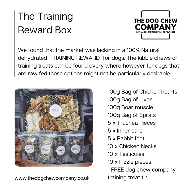 The Training Reward Box - Dog Treats - The Dog Chew Company