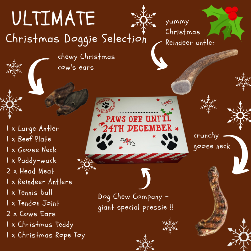 The Ultimate Doggie Gift Box -  - The Dog Chew Company
